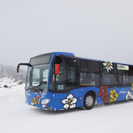 bus-winter-schnee.jpg | © Arosa Tourismus / Nina Hardegger-Mattli