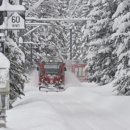 RhB-Schneegestoeber-1.jpg | © Arosa Tourismus / Nina Hardegger-Mattli