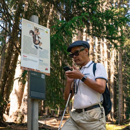 Eichhörnliweg mit Seebeeinträchtigung | © Arosa Tourismus