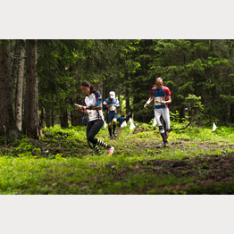 Swiss Orienteering Week 2021 Arosa | © Arosa Tourismus / Urban Engel
