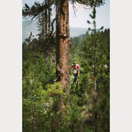 Auch Eliteläufer aus dem Nationalkader nahmen an der Swiss Orienteering Week Arosa teil | © Arosa Tourismus / Urban Engel
