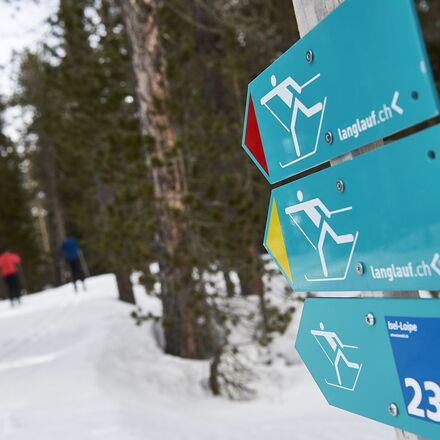 Langlauf_Isel_Maerz2019_0057.jpg | © Arosa Tourismus / Nina Hardegger-Mattli