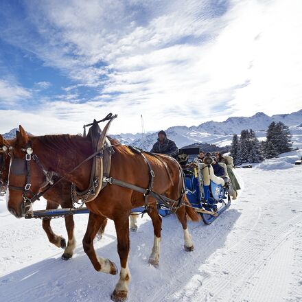 Pferdekutschen_pferde.jpg | © Arosa Tourismus / Nina Hardegger-Mattli