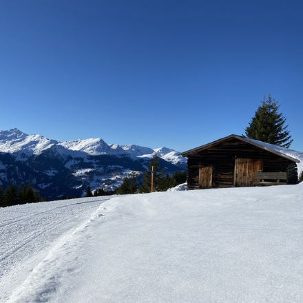 Winterwandern am Hochwang | © Arosa Tourismus