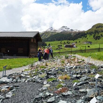 alpengarten-maran.jpeg | © Arosa Tourismus / Nina Hardegger-Mattli