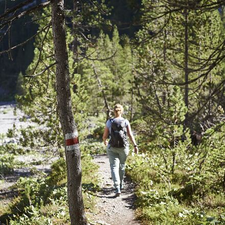 Wandern in der Isla | © Arosa Tourismus / Nina Hardegger-Mattli