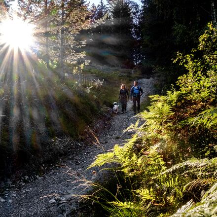 Dörferweg Schanfigg | © Arosa Tourismus Dörferweg Schanfigg | © Arosa Tourismus