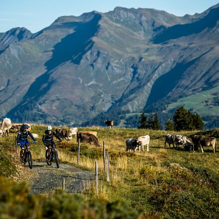 arosa-ebike-3.jpg