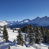 Arosa-Arlenwald.jpg | © Arosa Tourismus / Nina Hardegger-Mattli