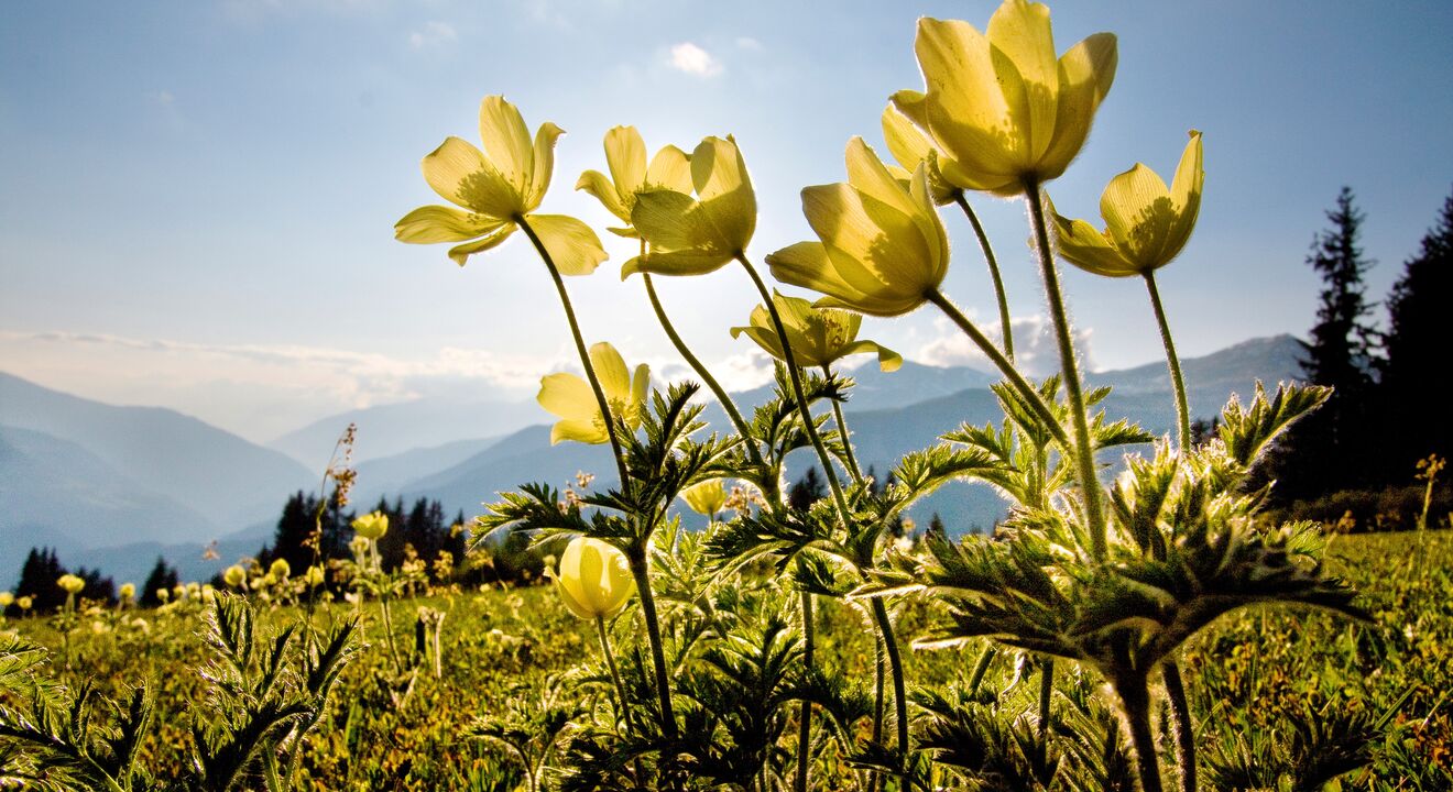 Hochwang | © Nina Mattli Hochwang | © Nina Mattli