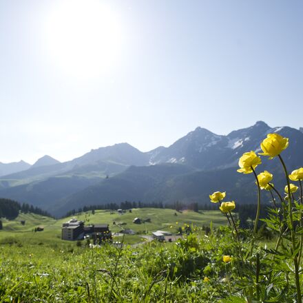 20140623_Landschaft_018.jpg | © Arosa Tourismus / Nina Hardegger-Mattli