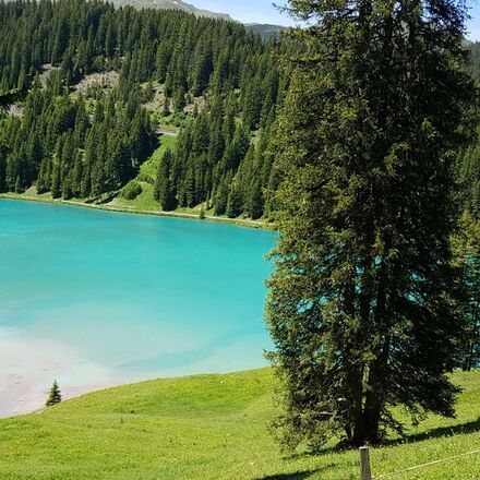 Grünsee Arosa | © Nina Mattli Grünsee Arosa | © Nina Mattli