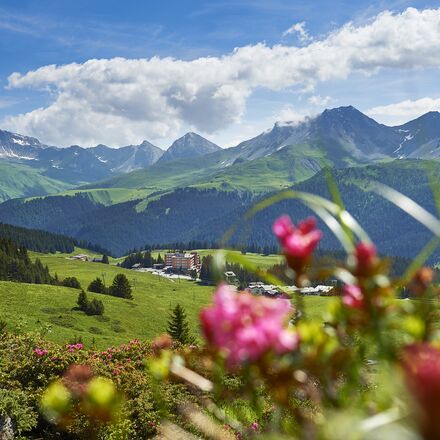 Mittelstation Arlenwald | © Nina Mattli Mittelstation Arlenwald | © Nina Mattli