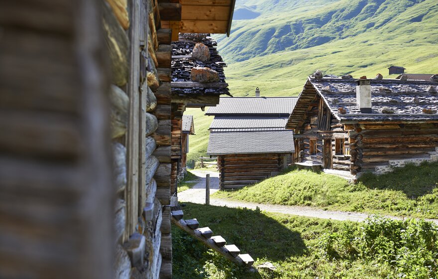 Fotos_NM_AT_520-109.jpg | © Arosa Tourismus / Nina Hardegger-Mattli