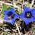 Flora und Fauna | © Nina Mattli Flora und Fauna | © Nina Mattli