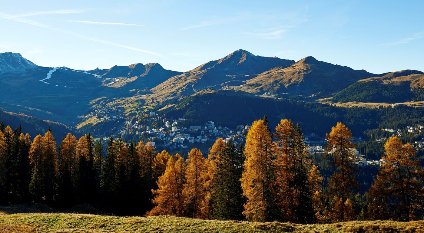 Dorf-Herbstwald.jpg