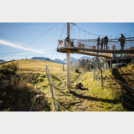 Abenteuerweg mit Bären im Arosa Bärenland | © Stiftung Arosa Bären / VIER PFOTEN
