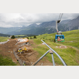Gondeltransport.jpg | © Stiftung Arosa Bären / VIER PFOTEN