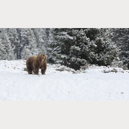 EIST_5D_2018_10_02_2253.JPG | © Arosa Bärenland / Stefan Eichholzer