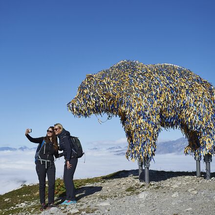 Weisshorn Bär Arosa Bärenland | © Stiftung Arosa Bären / VIER PFOTEN