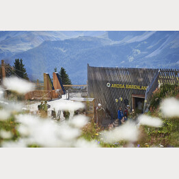 Arosa Bärenland Plattform | © Stiftung Arosa Bären / VIER PFOTEN