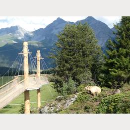 1-abenteuerweg-napa.JPG | © Stiftung Arosa Bären / VIER PFOTEN