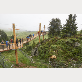 Eroeffnung_17.7.2020_043.jpg | © Stiftung Arosa Bären / VIER PFOTEN