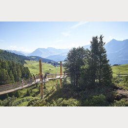 Abenteuerweg Arosa Bärenland | © Stiftung Arosa Bären / VIER PFOTEN
