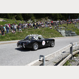 LMC-2018-Austin Healey_Foto Franz Leupi.jpg