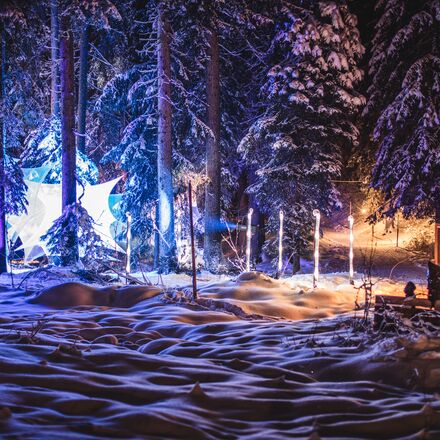zauberwald-lenzerheide-lichtinstallation-1.jpg