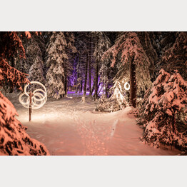 Zauberwald-lenzerheide-lichtinstallation-10.jpg