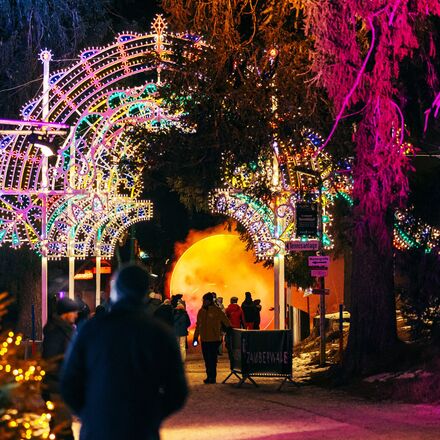 Zauberwald 2024 | © Cemil Erkoc/ Zauberwald