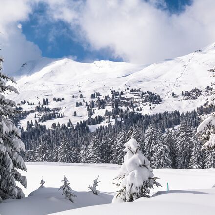 winterwanderlandschaft-see.jpg