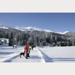 © Ferienregion Lenzerheide
