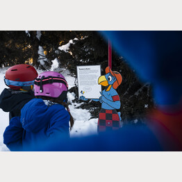 © Lenzerheide Bergbahnen AG