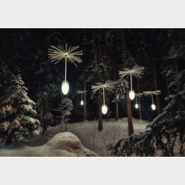Ligth a wish - Ode Design Group - Zauberwald 2023