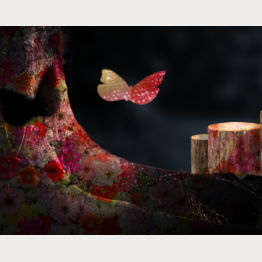Zauberwald-Lichtinstallation-No much more diorama-Yves Kuperberg.png