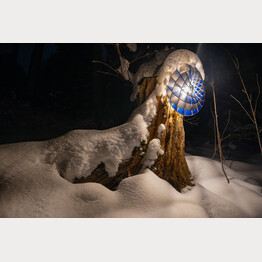 FRACTAL LIGHTS.jpg | © Bild: Cemil Erkoc / Lichtkunst: Artificial Owl