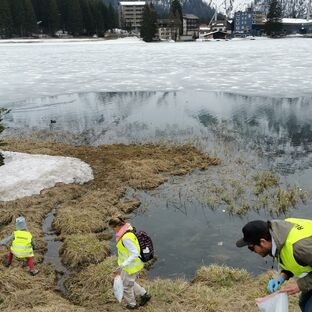 CleanUp Obersee