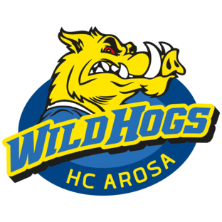 wild_hogs_hc_arosa_rz