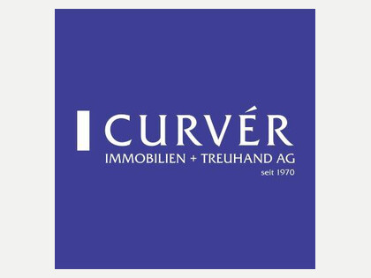 Logo Curver