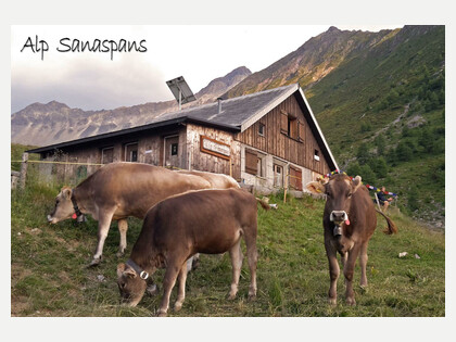 Alp Sanaspans