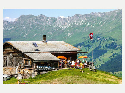 Alp Fops Sommerpanorama