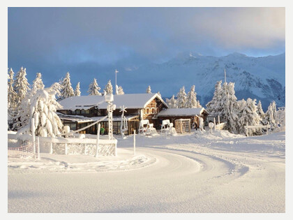 winter