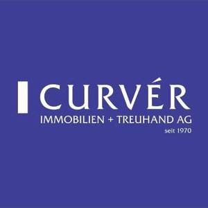 Logo Curver