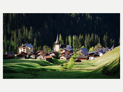 Langwies im Sommer