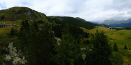 Bear Sanctuary